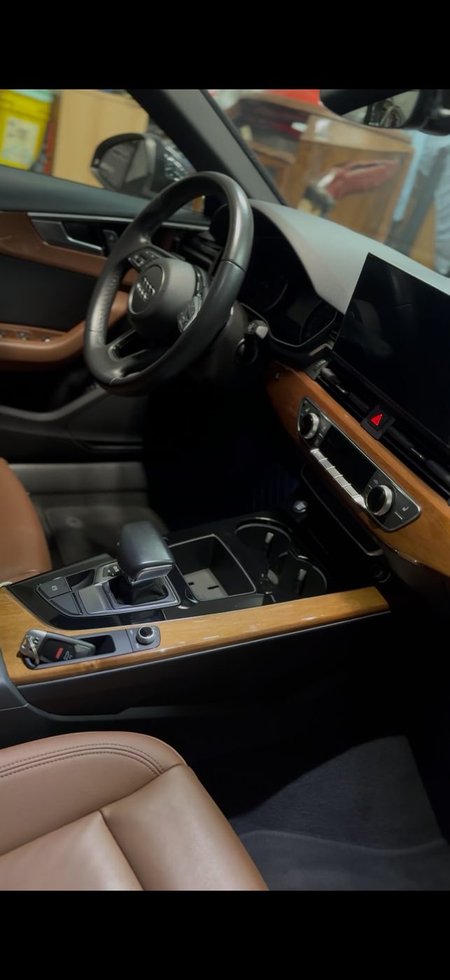 Audi A4 center console and wood trim, dressed