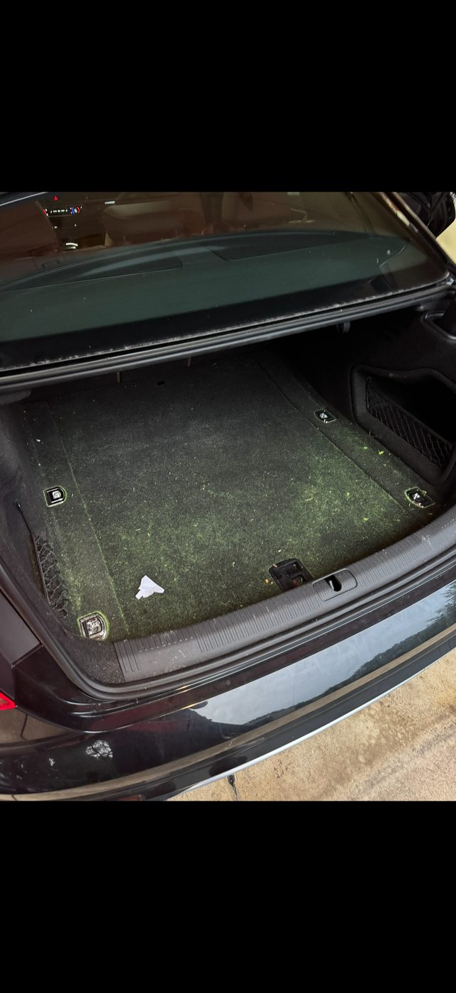 Cargo area before detailing, covered in dirt and grass clippings